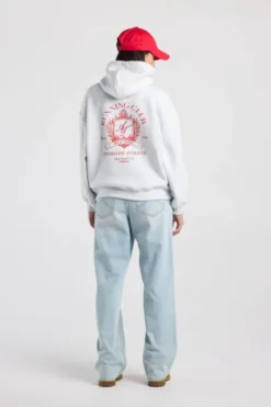 America Today New In|Truien & Vesten^Hoodie abina hood hoodie et back print en ebroidery