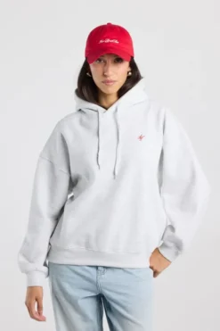 America Today New In|Truien & Vesten^Hoodie abina hood hoodie et back print en ebroidery
