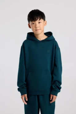 America Today Sweaters & Hoodies|New In^Hoodie Sealey Jr relaxed fit hoodie met logo