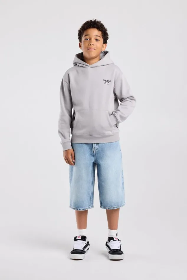 America Today Sweaters & Hoodies|New In^Hoodie Sebas jr regular fit hoodie met borduring en rugprint