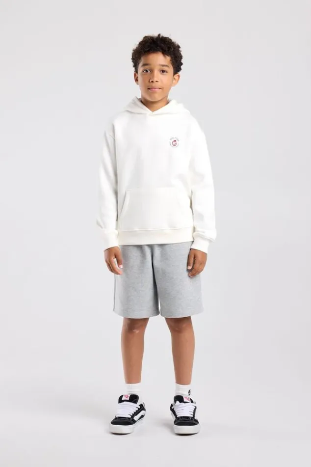 America Today Sweaters & Hoodies|New In^Hoodie Sebas jr regular fit hoodie met borduring en rugprint