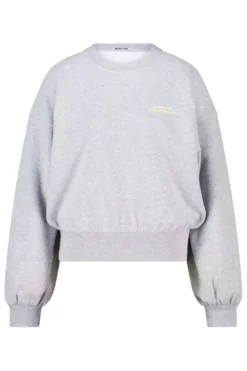 America Today New In|Truien & Vesten^weater iena overized weater et chet en back print