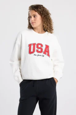America Today Sweaters & Hoodies|Truien & Vesten^weat enna weater et New York City en UA print