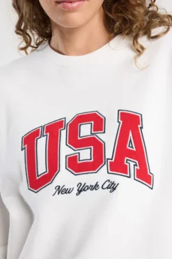 America Today Sweaters & Hoodies|Truien & Vesten^weat enna weater et New York City en UA print