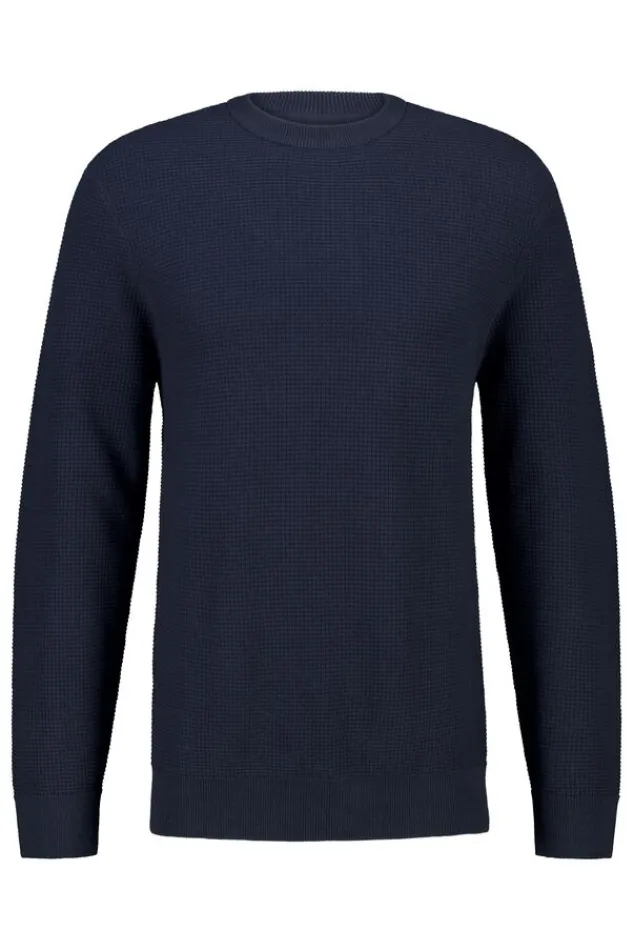 America Today Truien & Vesten|Knitwear^Trui Kain Reguar fit trui et ronde haijn