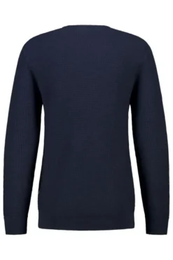 America Today Truien & Vesten|Knitwear^Trui Kain Reguar fit trui et ronde haijn