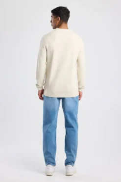 America Today Truien & Vesten|Knitwear^Trui Kain Reguar fit trui et ronde haijn