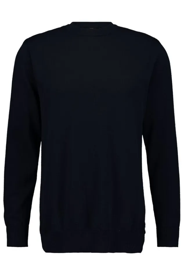 America Today Truien & Vesten|Knitwear^Trui Keith Heren puover in reguar fit et ronde haijn