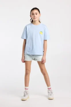 America Today T-Shirts & Tops^T-shirt Ellinor Jr loose fit t-shirt van biologisch katoen met print